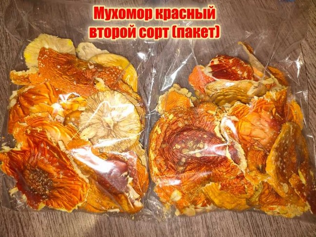 Лечебные свойства мухомора красного сушеного